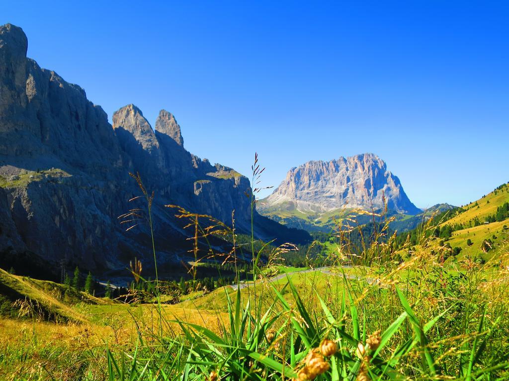 Hotel La Pineta Selva di Val Gardena Exterior foto